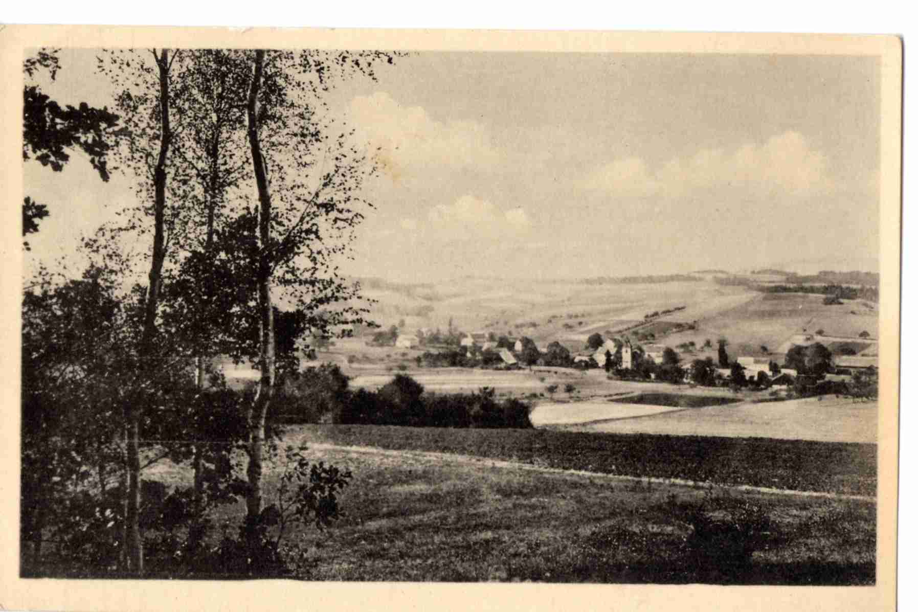 scen Cermna103